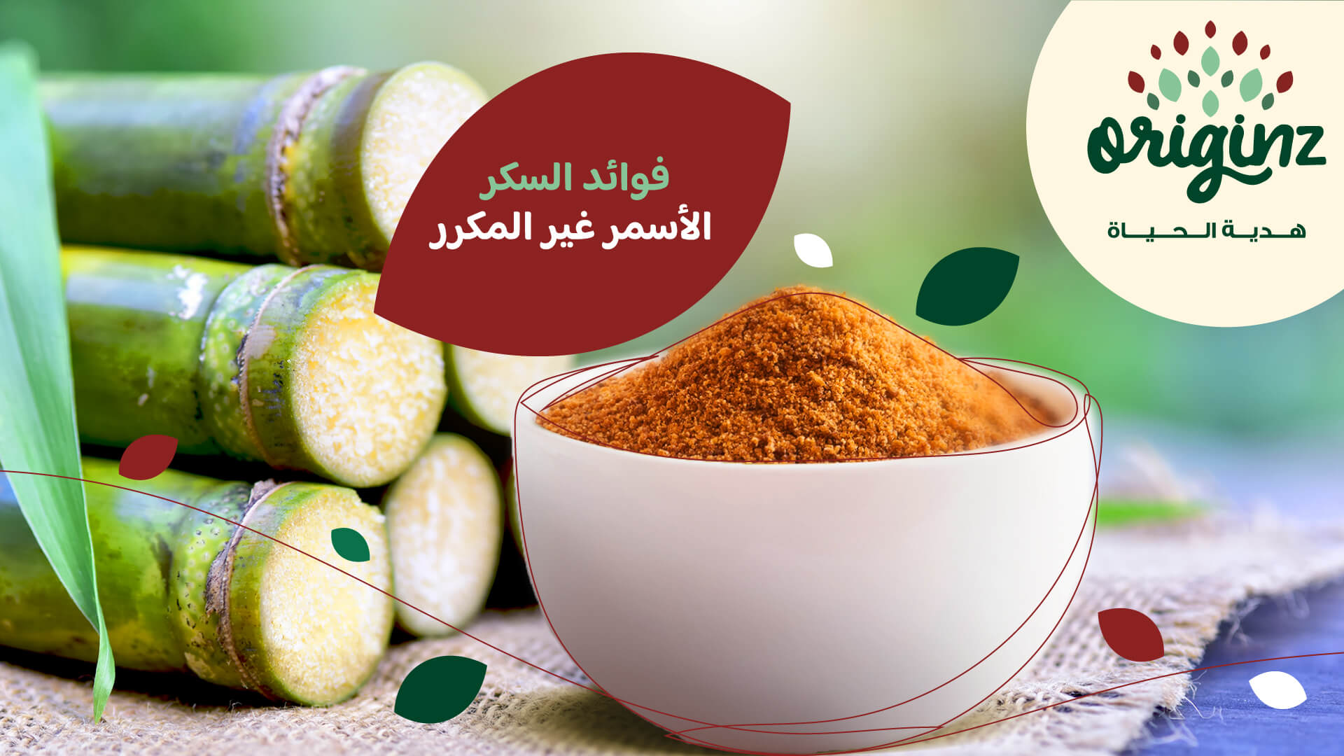 Tomato Paste