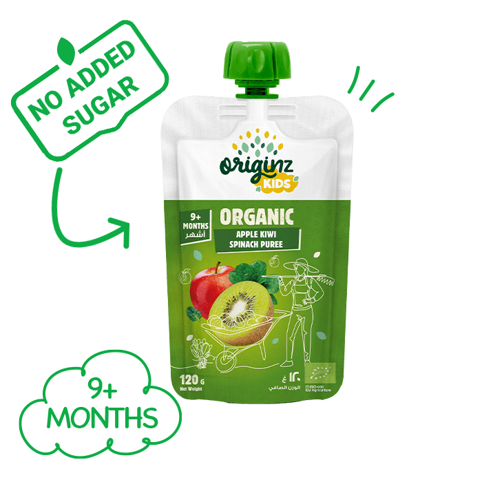 Organic Apple Kiwi Spinach Puree