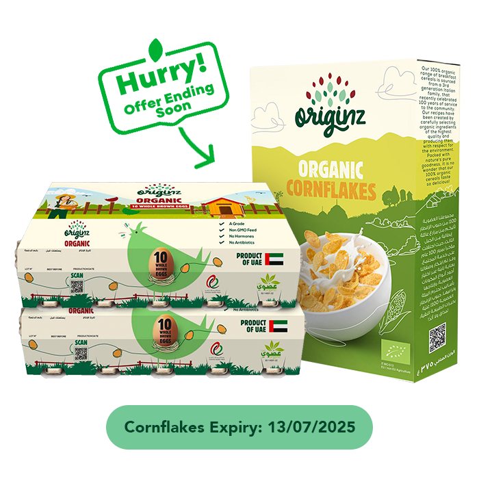 2 Eggs + 1 Cornflakes Combo