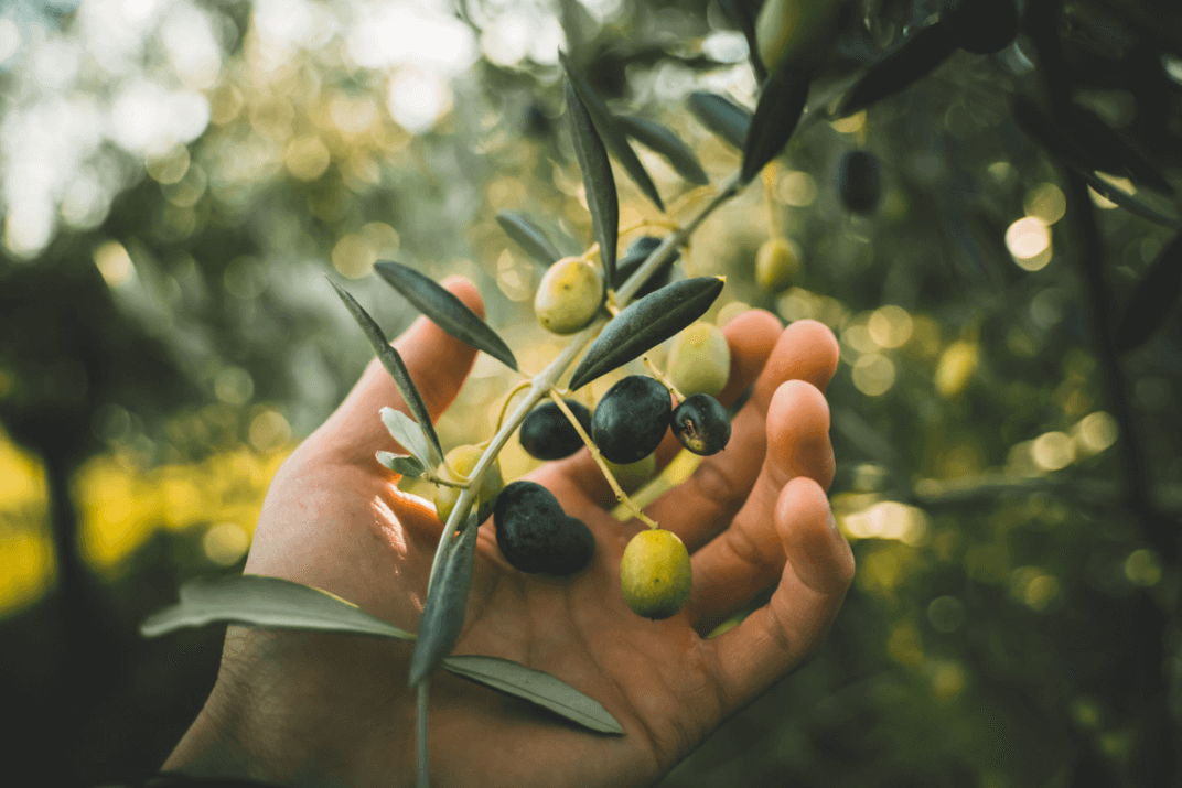 farm-story-article